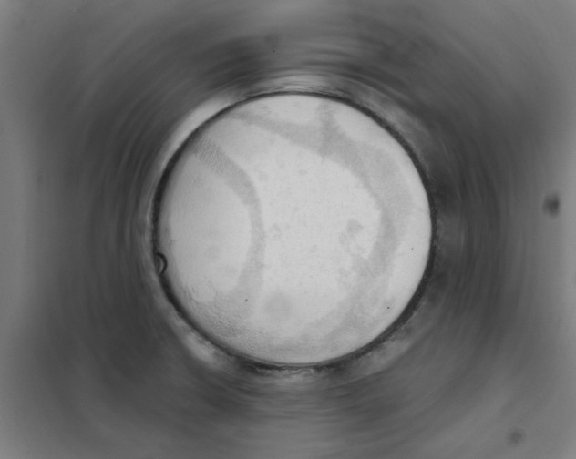 X0000101211426200807251039