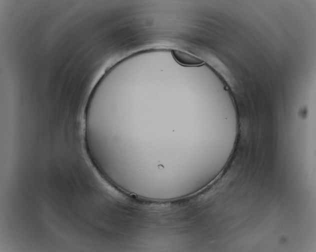 X0000101211428200807251039