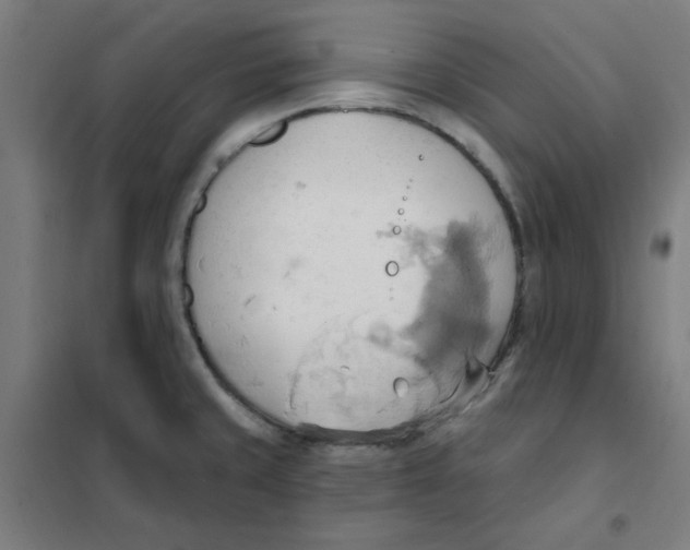 X0000101211429200807251039