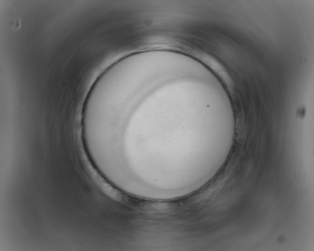 X0000101211431200807251039