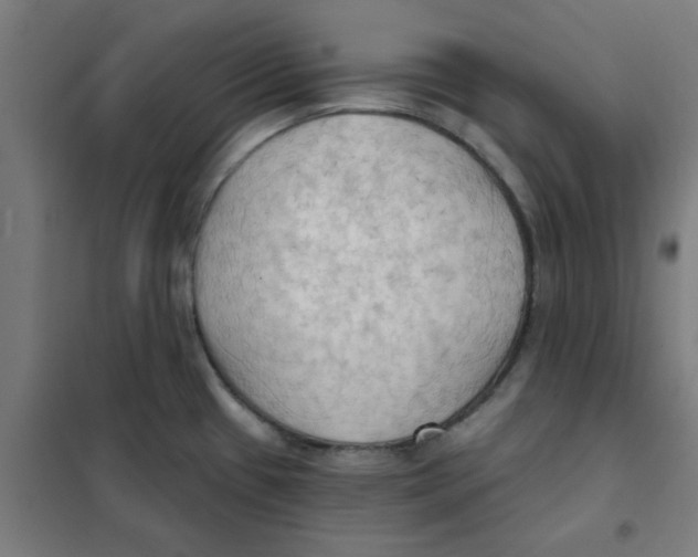 X0000101211433200807251039