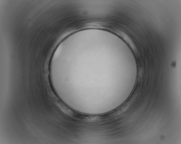 X0000101211435200807251039