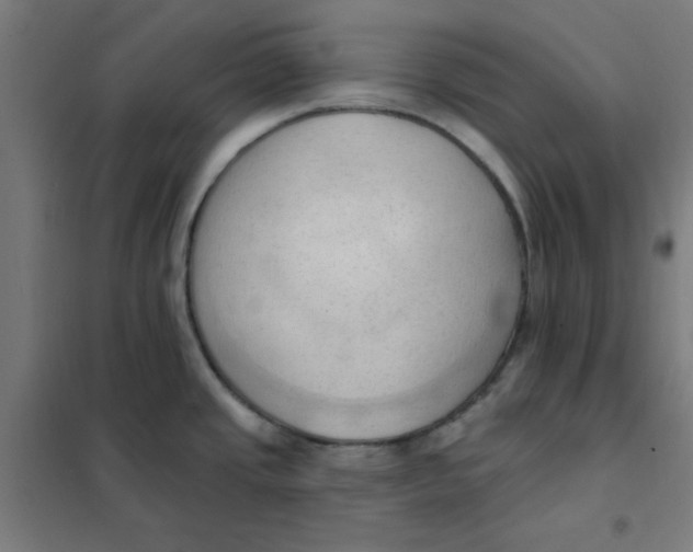 X0000101211437200807251039