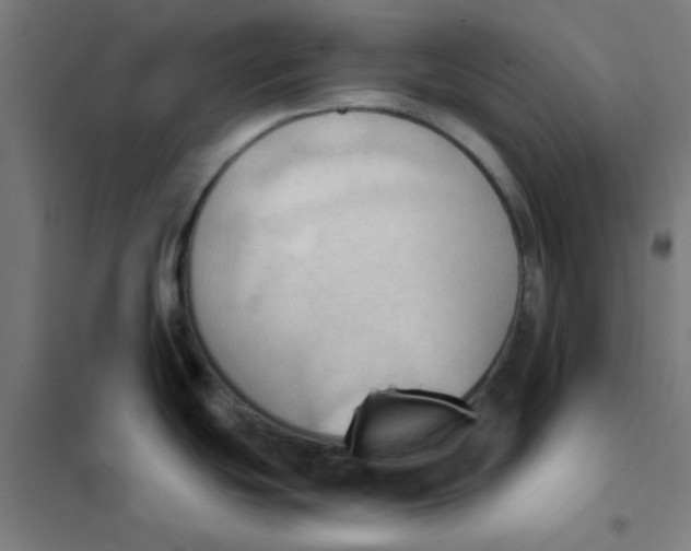 X0000101211439200807251039