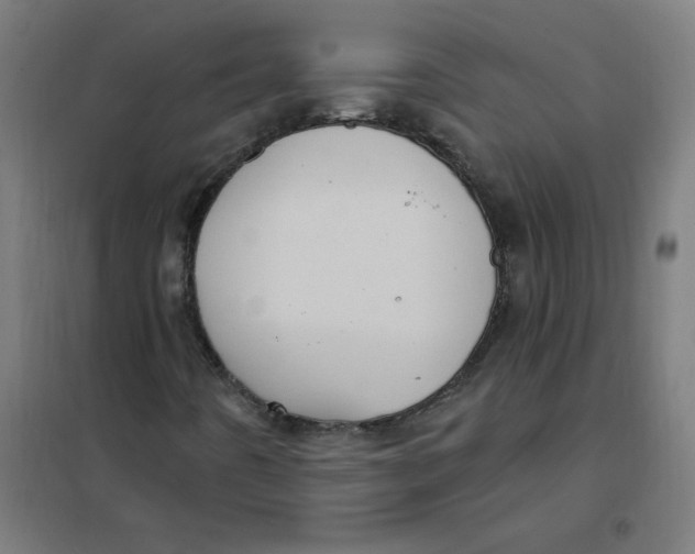 X0000101211442200807251038