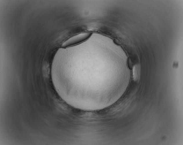 X0000101211443200807251038