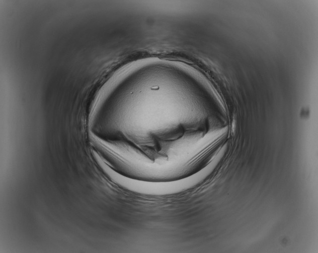 X0000101211444200807251038