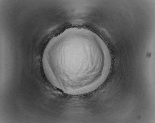 X0000101211445200807251038