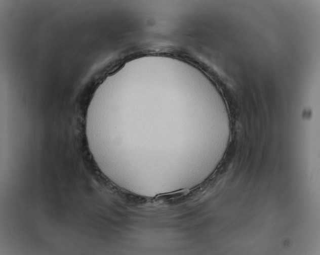 X0000101211447200807251038