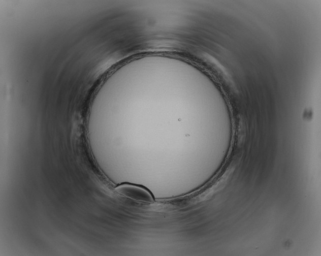 X0000101211449200807251038