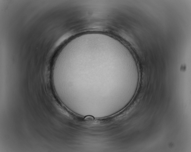 X0000101211450200807251038