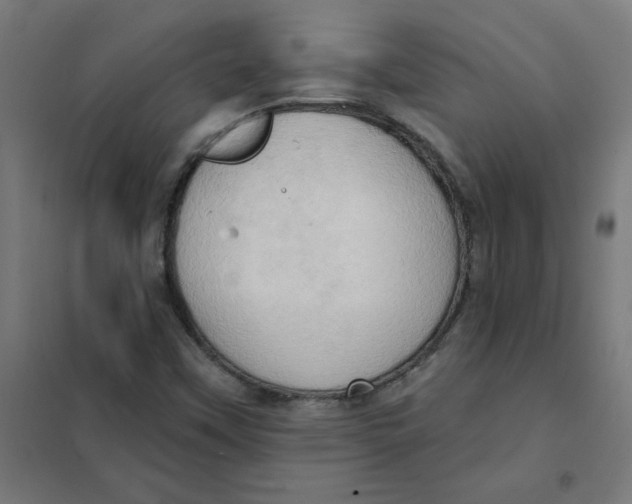 X0000101211451200807251038