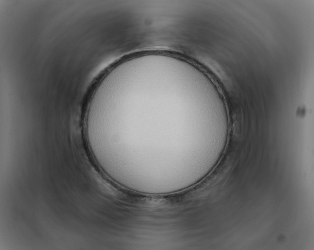 X0000101211452200807251038