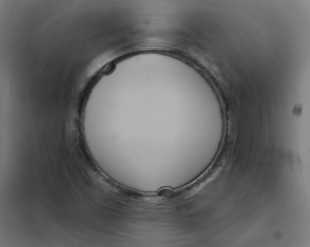 X0000101211453200807251038