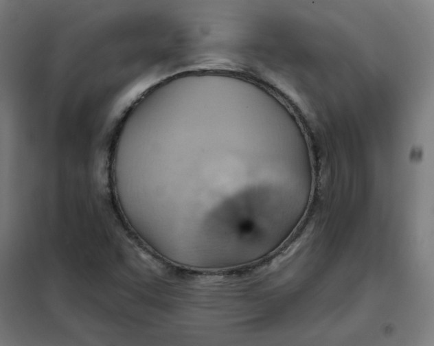 X0000101211455200807251038