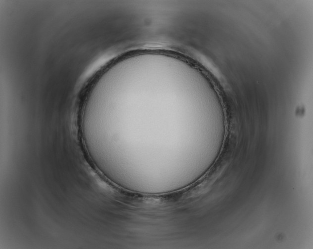 X0000101211456200807251038