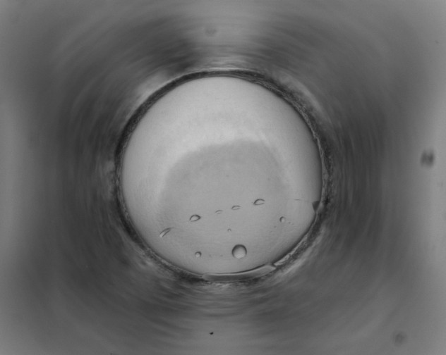 X0000101211457200807251038