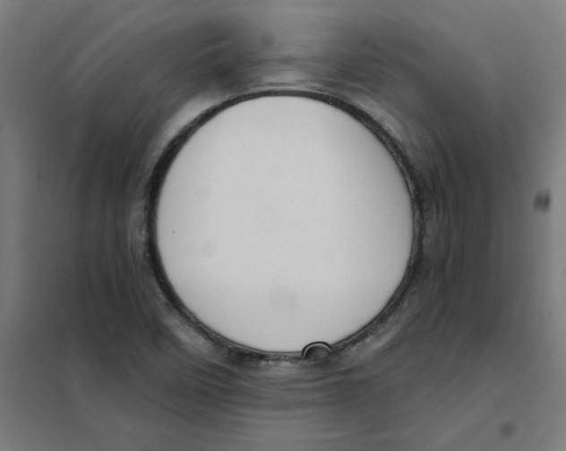 X0000101211458200807251038