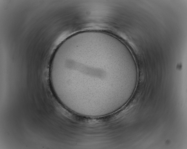 X0000101211459200807251038