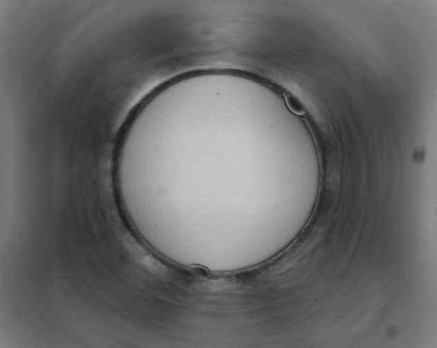 X0000101211460200807251038