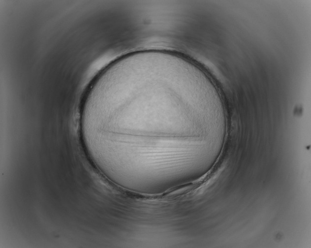 X0000101211461200807251038