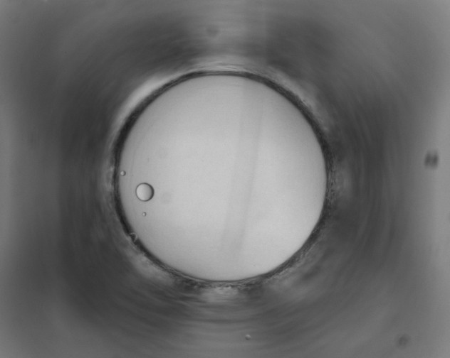 X0000101211462200807251038