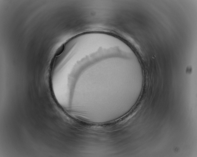 X0000101211463200807251038