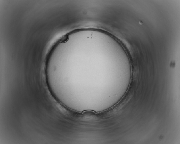 X0000101211464200807251038