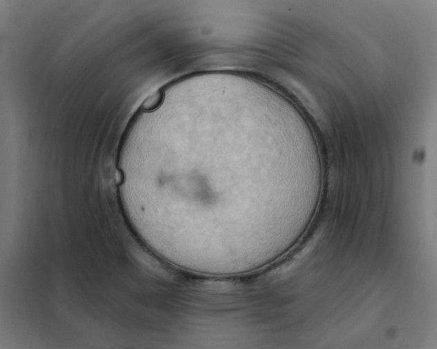 X0000101211465200807251038