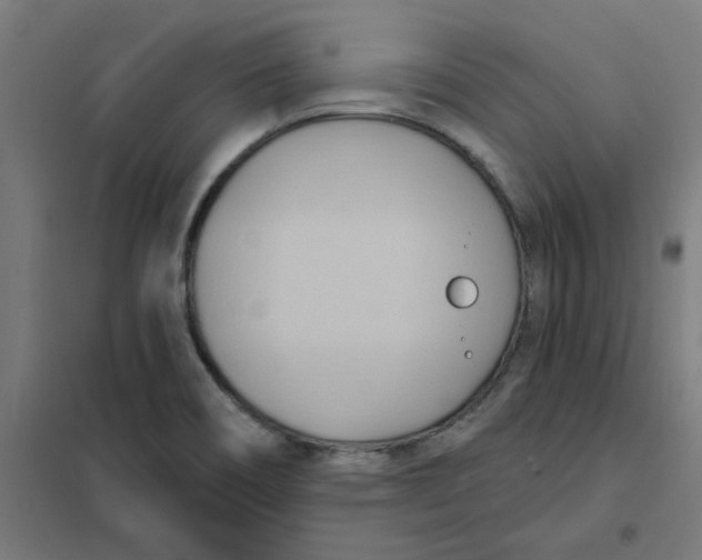 X0000101211466200807251038