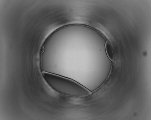 X0000101211468200807251038