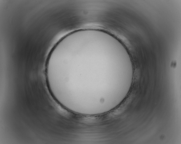 X0000101211470200807251038