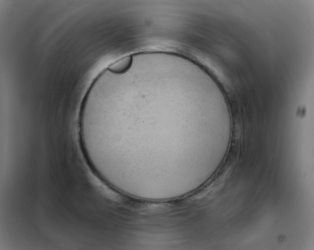 X0000101211471200807251038