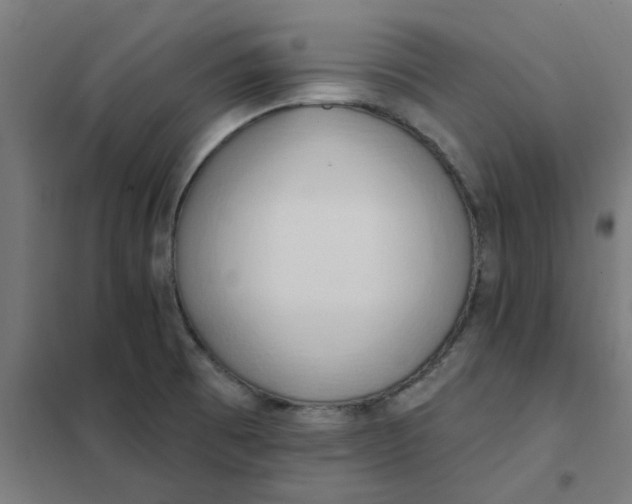 X0000101211473200807251038