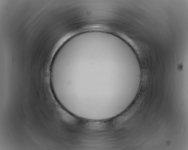 X0000101211474200807251038