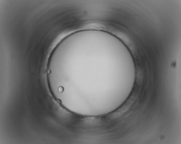 X0000101211478200807251038