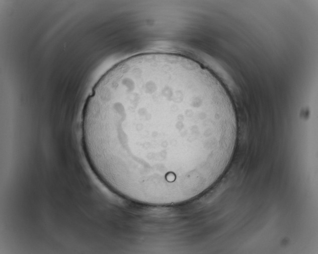 X0000101211479200807251038