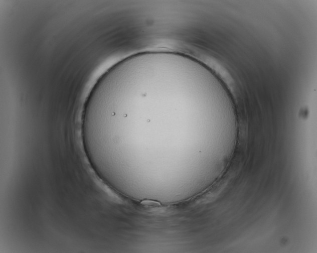 X0000101211480200807251038