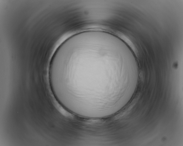 X0000101211482200807251038