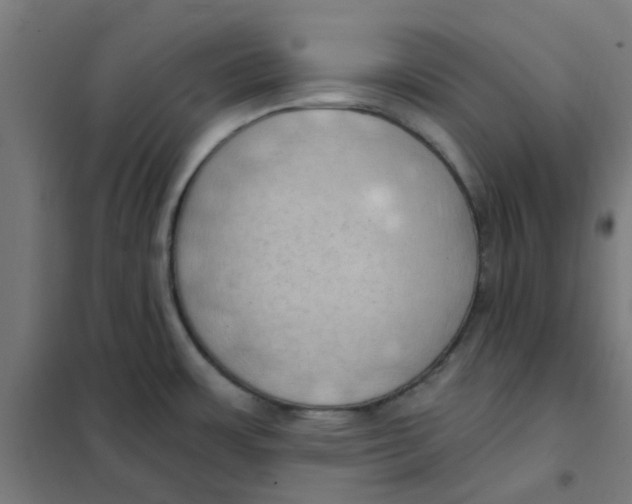 X0000101211483200807251037