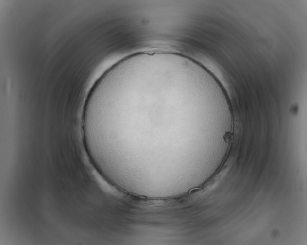 X0000101211485200807251037