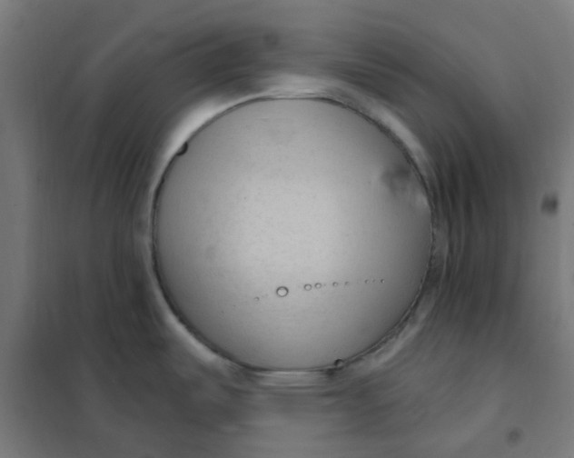 X0000101211487200807251037