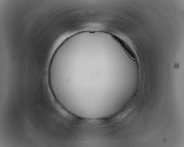 X0000101211488200807251037