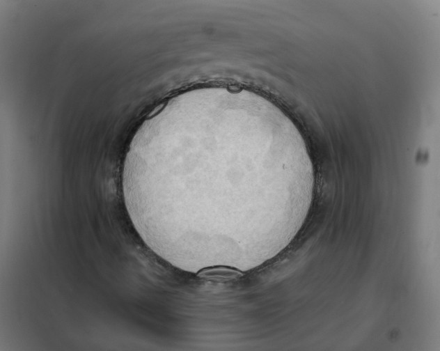 X0000101211490200807251037