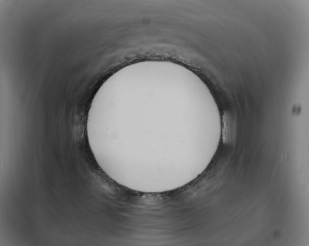 X0000101211491200807251037