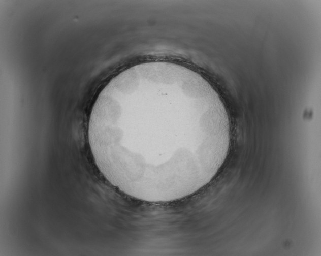 X0000101211493200807251037