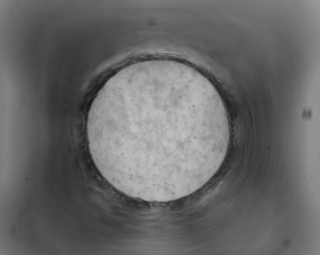 X0000101211494200807251037