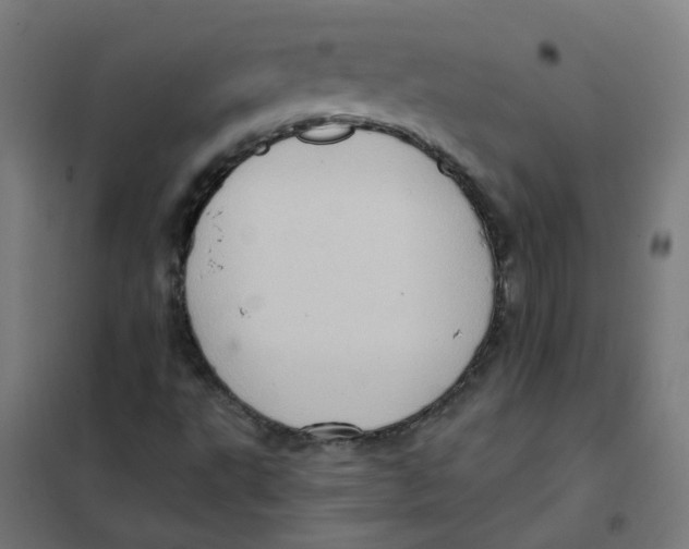 X0000101211495200807251037