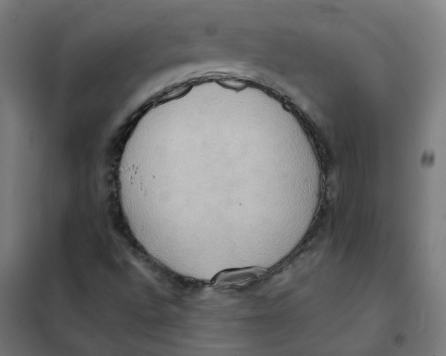 X0000101211496200807251037