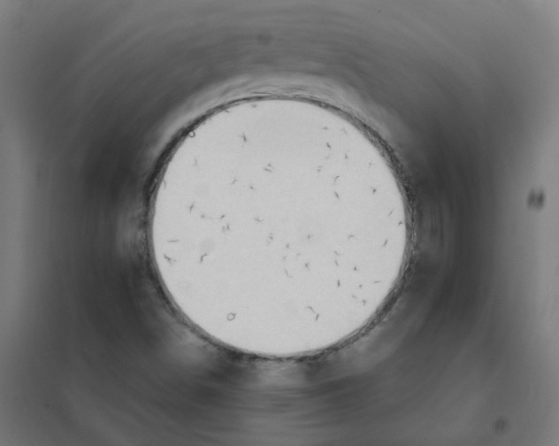 X0000101211498200807251037